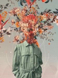  - Frank Moth