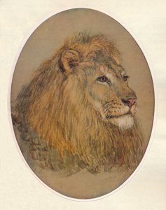 Tête de lion
