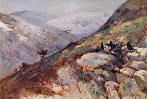Près de Kielder (lithographie en couleur) - Frank Southgate