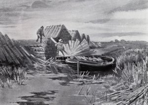 Norfolk Broads : Empilage de roseaux - Frank Southgate