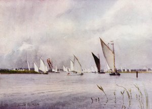 Norfolk Broads : Régate à Hickling