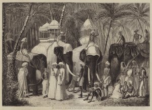 Les éléphants du Rajah de Travancore - Frank Vizetelly