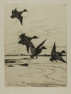Canards atterrissant - Frank Weston Benson