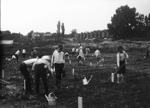 Jardin de terrain vacant