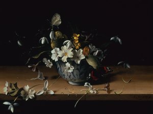 Fleurs dans un bol en porcelaine chinoise bleu et blanc avec un papillon amiral rouge sur un rebord en bois
