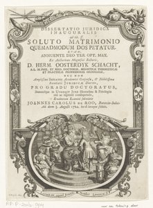 Minerve couronne un écrivain - François van Bleyswijck