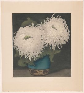 Deux chrysanthèmes