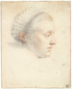 Portrait de profil d
