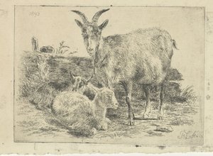 Chèvre avec ses petits