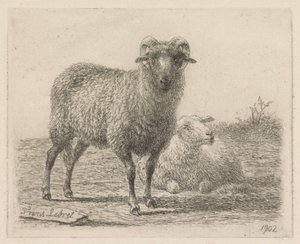 Bélier et mouton - Frans Lebret