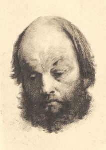Homme à la barbe noire, Garibaldi - Frans Schwartz