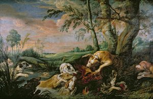 Chasse au Sanglier