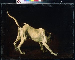 Chien