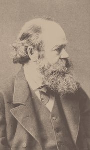 Portrait du compositeur Robert von Hornstein, 1833-1890 - Franz Hanfstaengl