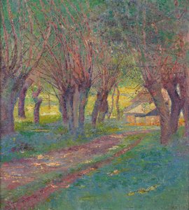 Saules têtards à Weyer