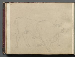 Album avec vues de Rome et des environs, études de paysages, page 51b : Étude d
