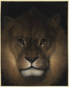  - Franz Krüger