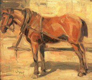 Petite étude de cheval