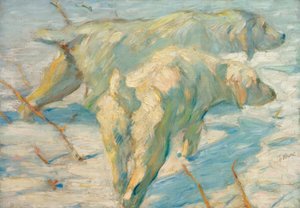 Chiens de berger sibériens (Chiens sibériens dans la neige)