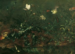Morceau de pelouse avec chardon, grenouilles et libellule - Franz Michael Siegmund von Purgau d. Ä.