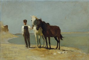Un garçon avec des chevaux sur la plage