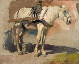 Cheval gris attelé