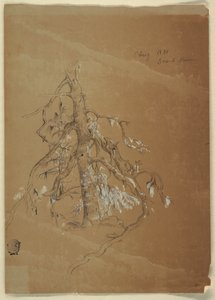 Un arbre à feuilles persistantes noueux, Grand Manan, Canada - Frederic Edwin Church