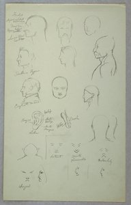 Études Anatomiques