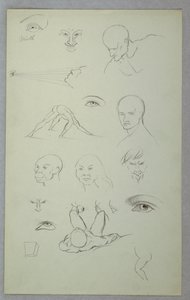 Études anatomiques