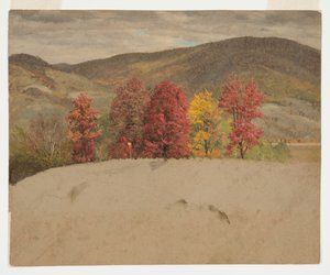 Paysage d