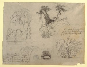 Études botaniques et une maison, probablement de Colombie