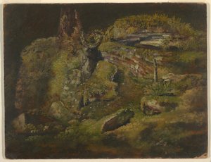 Rocher dans les bois - Frederic Edwin Church