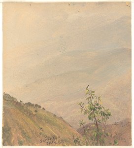 Collines lointaines, Jamaïque