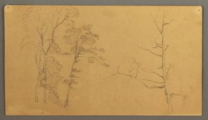 Dessin, Groupe d