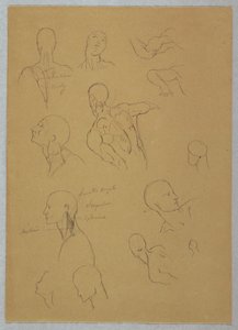 Dessin, études anatomiques, 1865-70 - Frederic Edwin Church