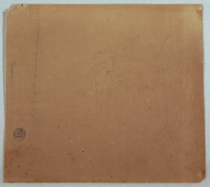 Dessin, croquis botaniques, probablement des bambous, des palmiers et des buissons, Équateur ou Colombie, 1853 ou 1857 - Frederic Edwin Church