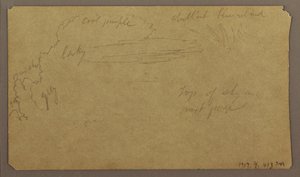 Dessin, croquis botaniques ; Verso : nuages, juillet 1865 - Frederic Edwin Church