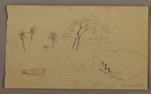 Dessin, croquis botaniques, figure, mai-août 1865 - Frederic Edwin Church