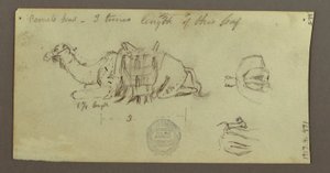 Dessin, études sur les chameaux, 2 mars 1868 - Frederic Edwin Church
