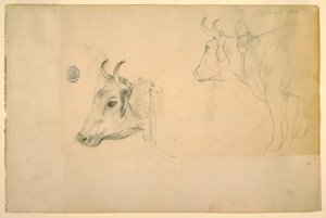 Dessin, bétail, septembre 1844 - Frederic Edwin Church