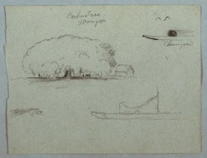 Dessin, arbre Ceiba à Mompos, canoë Champan, arbres et bateau partiel, Rio Magdelena, Colombie, 1853, probablement mai - Frederic Edwin Church