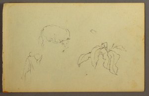 Dessin, vache se grattant la tête, plante à feuilles, peut-être 1844 - Frederic Edwin Church