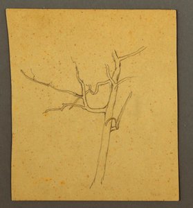 Dessin, Arbres morts, peut-être juillet 1866 - Frederic Edwin Church