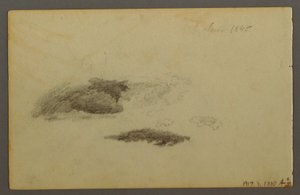 Dessin, Bouleau pourri, 1844 - Frederic Edwin Church