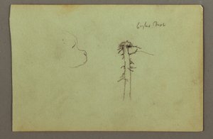 Dessin, tête de chien, nid d