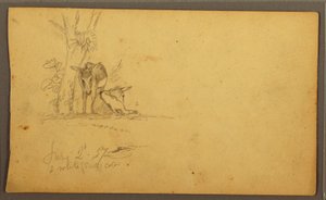 Dessin, ânes, 2 juin 1857 - Frederic Edwin Church