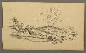 Dessin, Arbre tombé, peut-être 1877 - Frederic Edwin Church