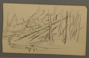 Dessin, Arbres tombés, peut-être 1877 - Frederic Edwin Church