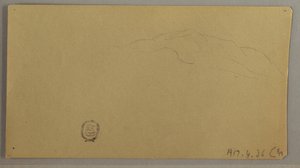 Dessin, plantes à fleurs, vers 1856 - Frederic Edwin Church