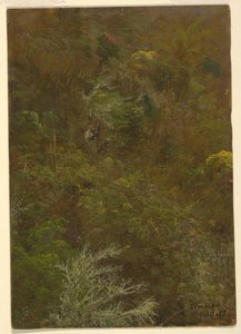 Dessin, colline couverte de buissons et d